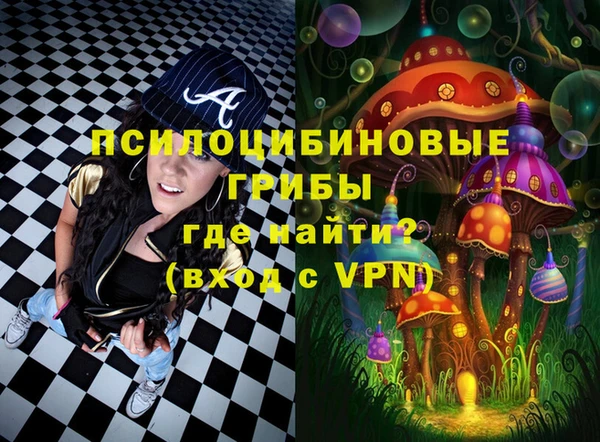 сатива Верхнеуральск