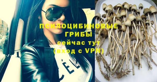 трава Бородино