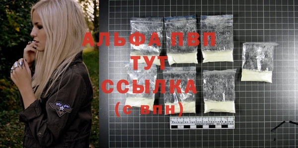 молекула духа Бронницы