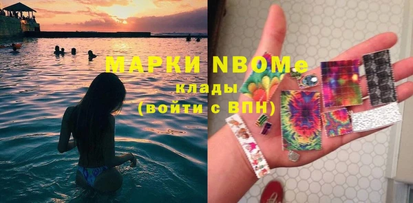 трава Бородино